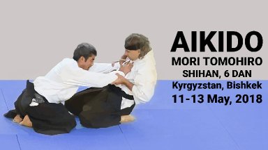 Aikido seminar poster