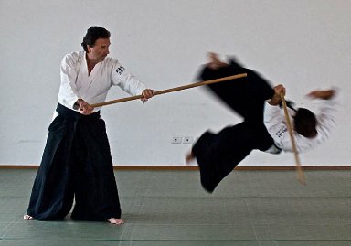 Aikido seminar poster