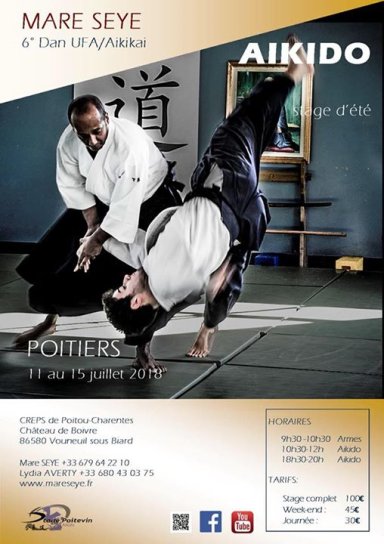 Aikido seminar poster