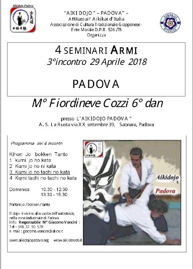 Aikido seminar poster