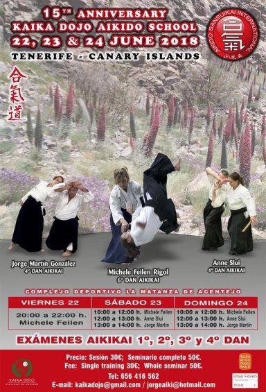 Aikido seminar poster