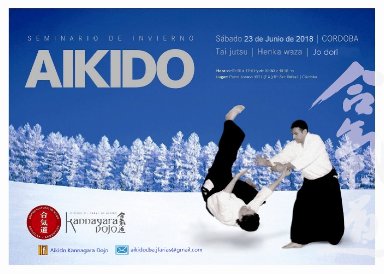 Aikido seminar poster