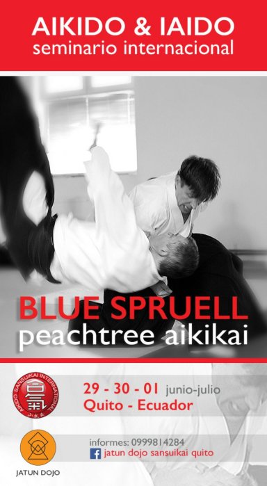 Aikido seminar poster