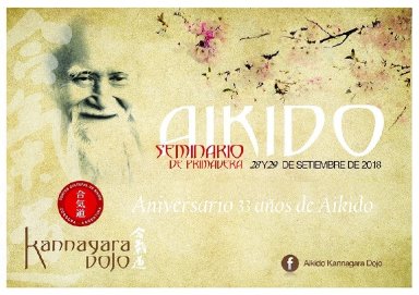 Aikido seminar poster