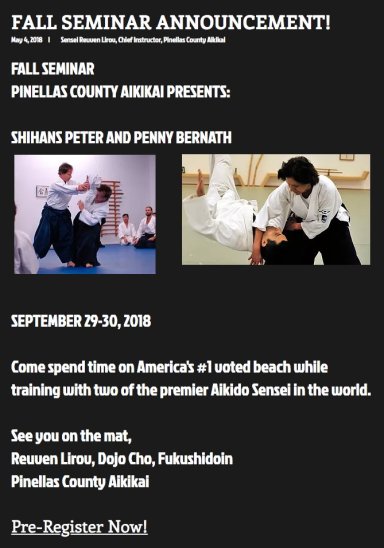 Aikido seminar poster