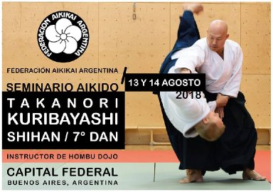 Aikido seminar poster