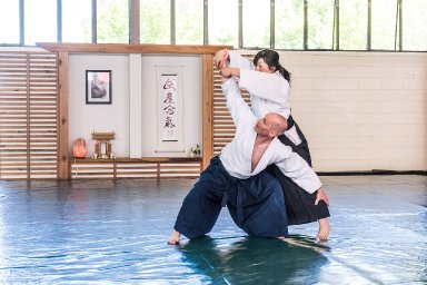 Aikido seminar poster