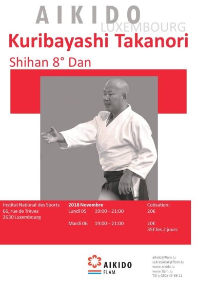 Aikido seminar poster