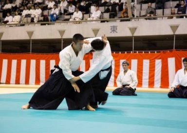 Aikido seminar poster