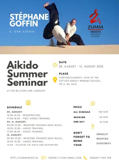 Aikido seminar poster