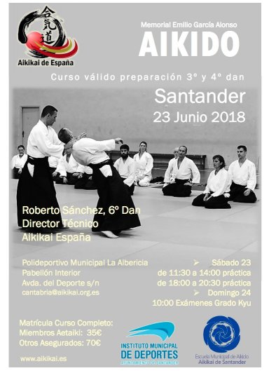 Aikido seminar poster