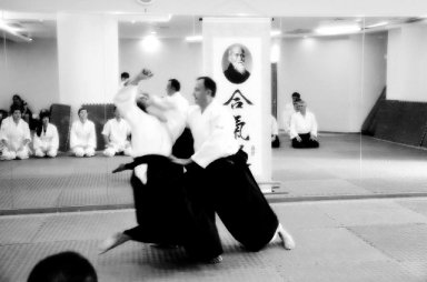 Aikido seminar poster