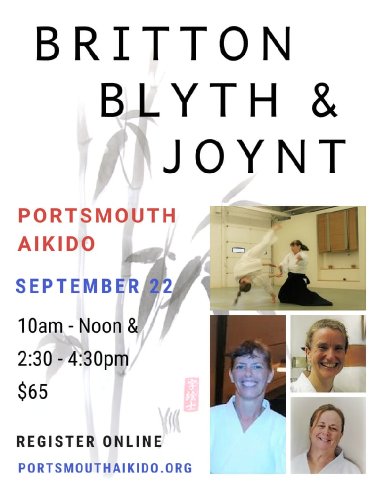 Aikido seminar poster