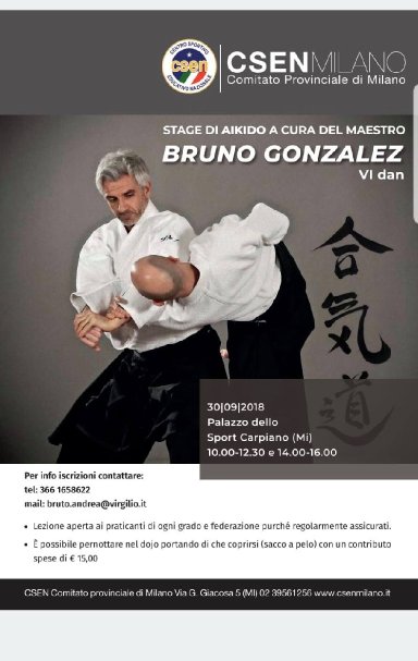 Aikido seminar poster