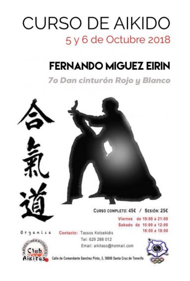 Aikido seminar poster