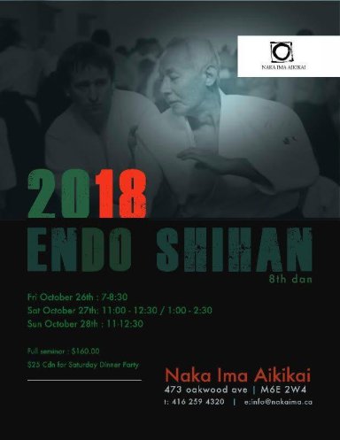 Aikido seminar poster