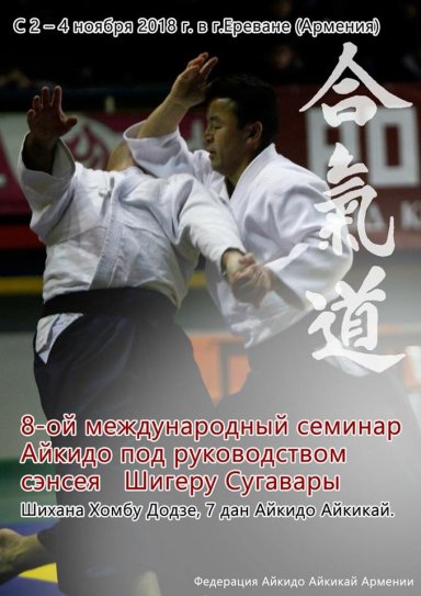 Aikido seminar poster