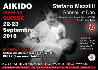 Aikido seminar poster