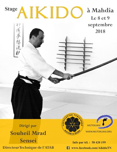 Aikido seminar poster