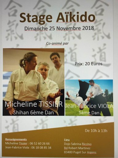 Aikido seminar poster