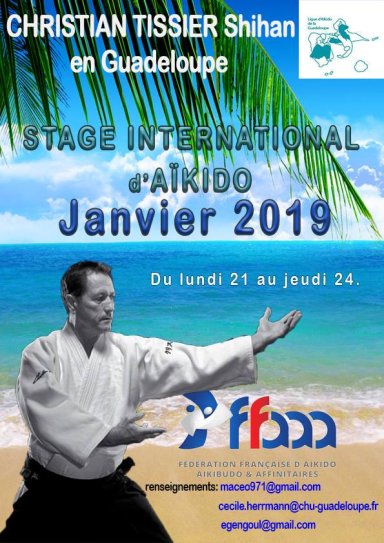 Aikido seminar poster