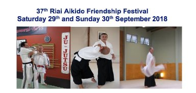 Aikido seminar poster