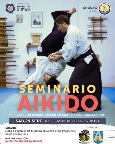 Aikido seminar poster