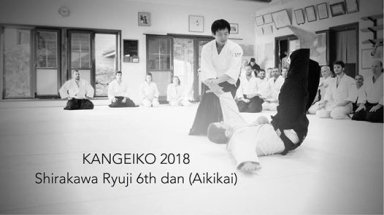 Aikido seminar poster