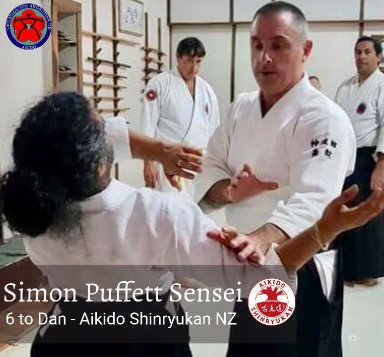 Aikido seminar poster