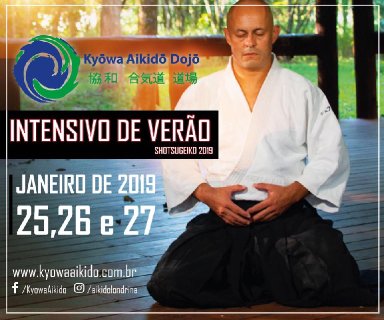 Aikido seminar poster