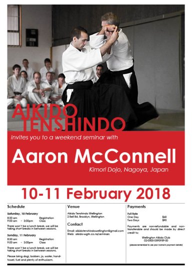 Aikido seminar poster