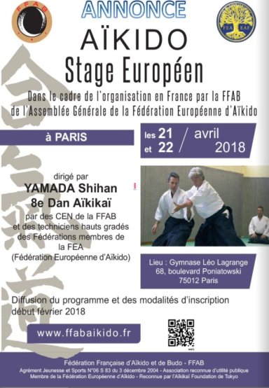 Aikido seminar poster