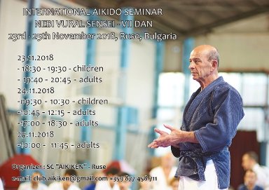 Aikido seminar poster