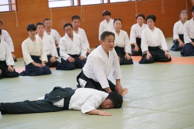 Aikido seminar poster