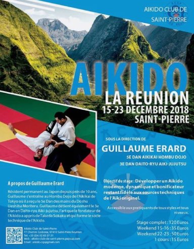 Aikido seminar poster