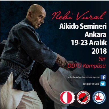 Aikido seminar poster