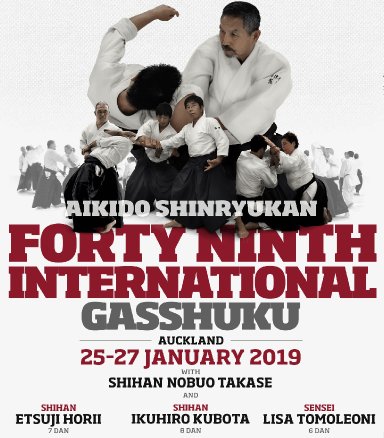 Aikido seminar poster