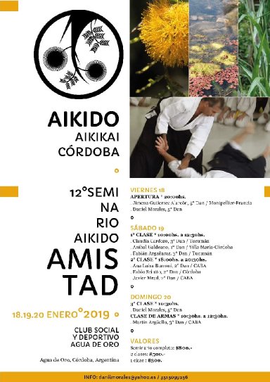 Aikido seminar poster