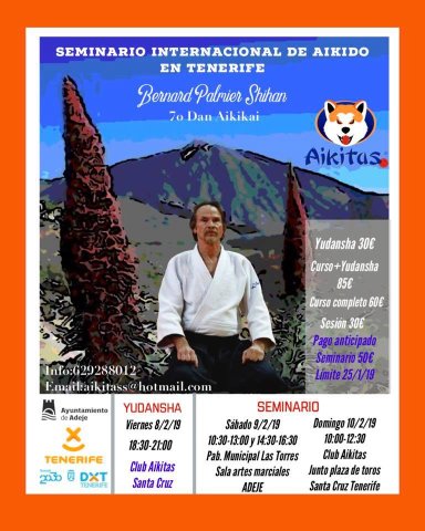 Aikido seminar poster