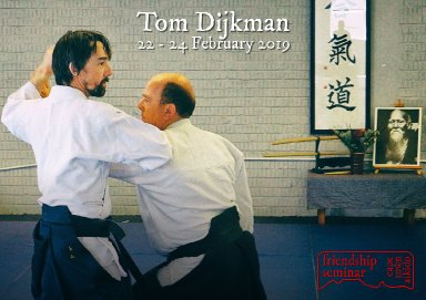 Aikido seminar poster