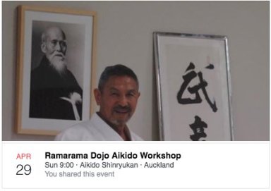 Aikido seminar poster