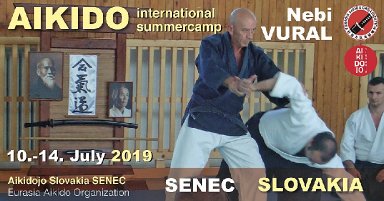 Aikido seminar poster