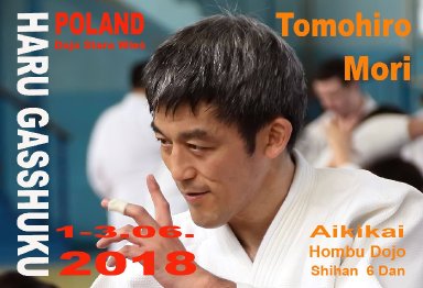 Aikido seminar poster