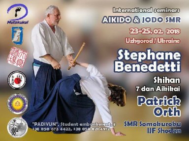 Aikido seminar poster