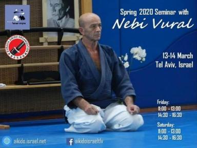 Aikido seminar poster