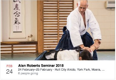 Aikido seminar poster