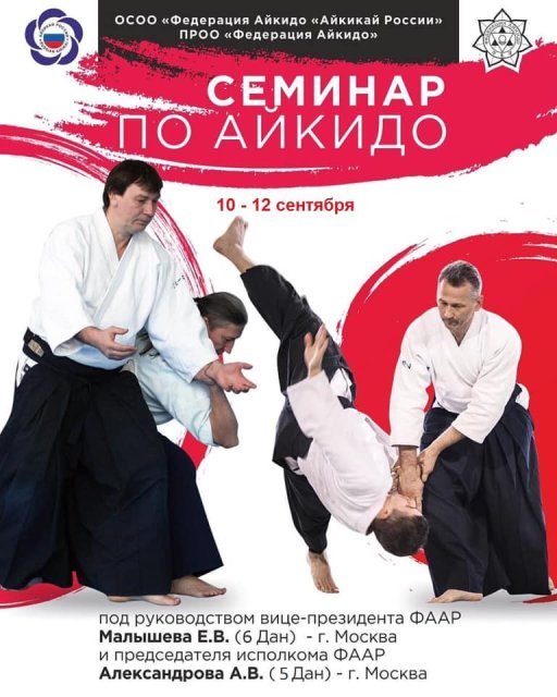 Every Aikido Seminar In The World 