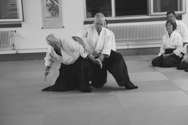 Aikido seminar poster