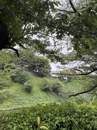 01.JPG